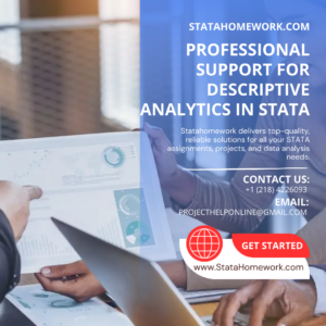 Professional Support for Descriptive Analytics in STATA